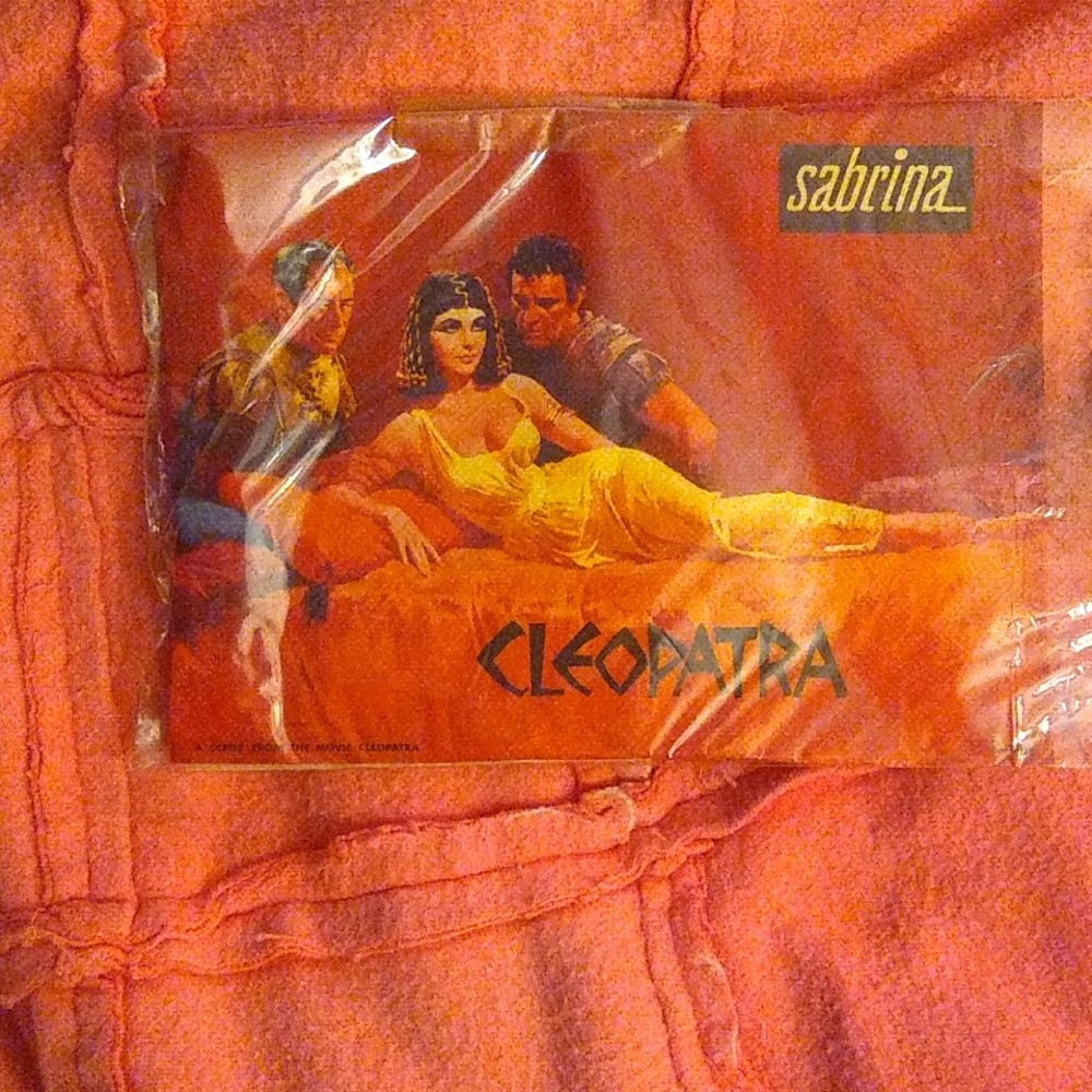 Vintage Elizabeth Taylor Cleopatra movie stockings